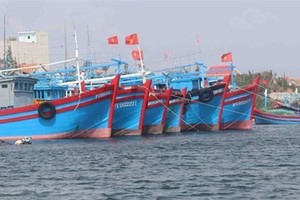 Tien Giang working to handle shortcomings in IUU fishing