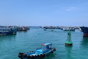 Wind gust in East Sea equals strength of low pressure zone