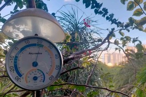 Southern region facing chilling temperature owing to cold air spread