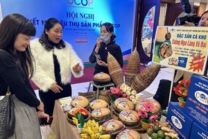 OCOP promotes entrepreneurship, formation of value chains