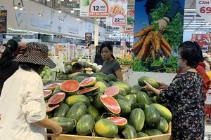 Watermelon becomes sixth Vietnamese fruit officially exported to China