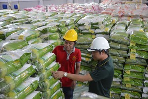 Vietnam’s rice export price surges 40 percent