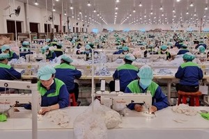 Vietnam among countries with high economic growth in 10 years