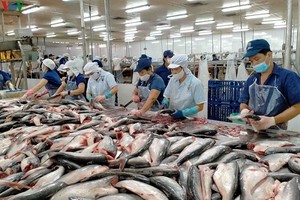 Vietnam targets US$2 billion in tra fish exports in 2024