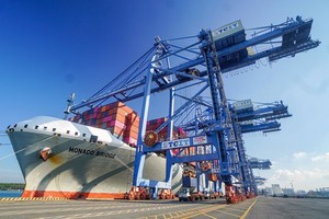 Export opportunities to be optimized in 2024: Minister