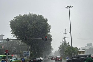 Freezing rains settle across Northern region all day