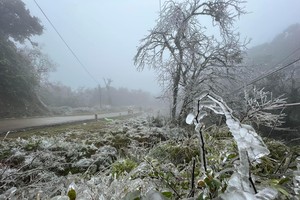 Hoar frost graces in North