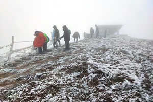 Livestock perish during persistent frost