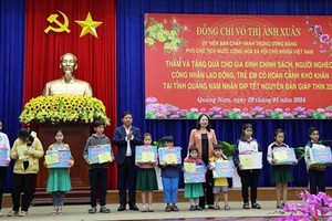 Vice State President pays pre-Tet visit to Quang Nam province