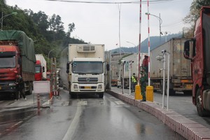 Northern border gates resume simultaneously operation after Tet holiday