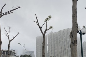 Cold air moving into Northern region