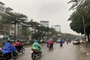 Hanoi to endure bitter cold from tonight