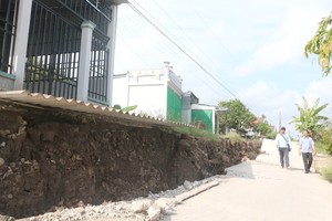 Ca Mau needs US$20 million in support to overcome consequences of drought