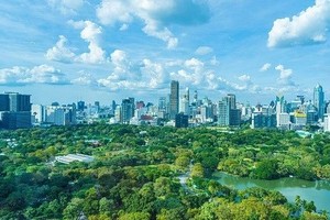 Wood industry has opportunities to increase revenue from carbon credits