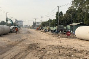 HCMC to strictly handle enterprises, facilities causing environmental pollution