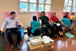 Nearly 1,000 blood units collected in National Voluntary Blood Donation Day