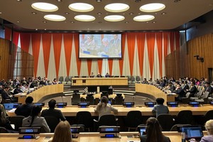 Vietnam elected to UN Women’s Executive Board for 2025-2027