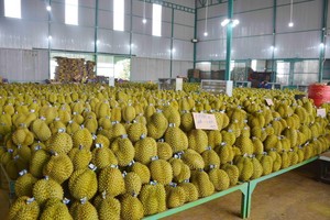 Vietnam’s agricultural products appeal to foreign customers