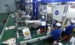 Vietnam expected to become e-commerce powerhouse in Southeast Asia