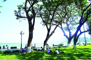 Ho Chi Minh City predicted to see rainfall events this weekend