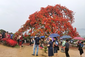 Visitors flock to historic sites in Dien Bien Phu on grand victory anniversary