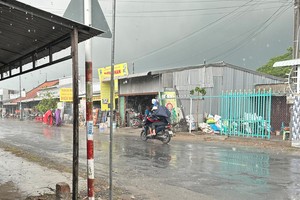Mekong Delta localities see rainfall events