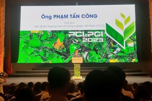 HCMC stands top five in PGI 2023 ranking