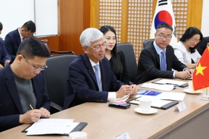 Ho Chi Minh City, RoK’s localities boost cooperation ties