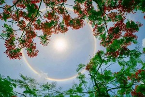 Halo around sun seen in various places in North