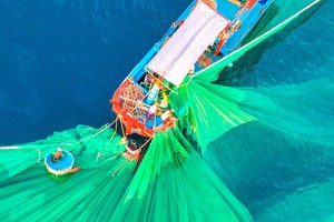 Various livelihood activities of Central coastal fishermen