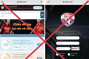 HCMC Police warn of illegal betting during Euro 2024