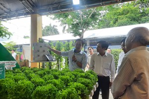 HCMC sets target of high-tech agriculture development