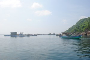 Ca Mau Province establishes provincial-level marine conservation area