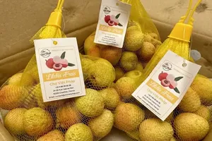 Vietnamese lychees become familiar to Thai consumers