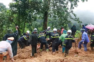 Landslide in Ha Giang buries van, kills eight