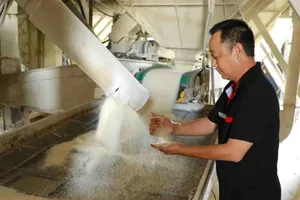 Vietnamese wheat flour products pass export examination for Taiwanese market