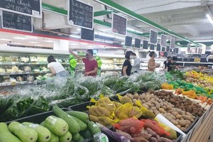 Consumer price index up 4.12 percent in seven months