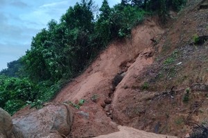 Traffic blocked by severe landslide on Ta Pua Pass, Binh Thuan Province