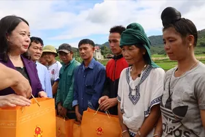 Vice President examines post-flood recovery in Son La