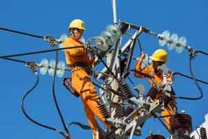Electricity Regulatory Authority requires stable power supply for National Day