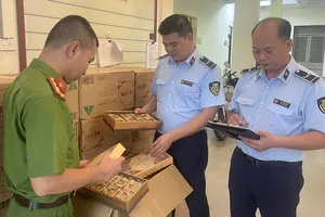 Origin-unclear mooncakes smuggled Vietnam