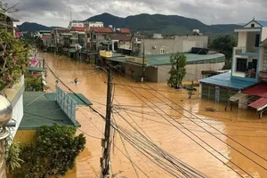 Typhoon Yagi pelts flooding, severe loss