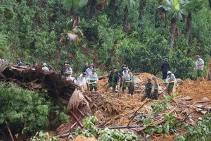 Nine dead, missing in landslide in Yen Bai Province
