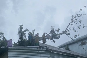 Storm Soulik enters provincial coastlines of Quang Binh, Quang Tri 