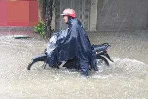 Floodwater levels in Dong Nai River receding slowly