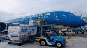 Numerous flight routes to Phu Quoc about to be exploited