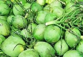Fresh coconuts quenching new overseas markets