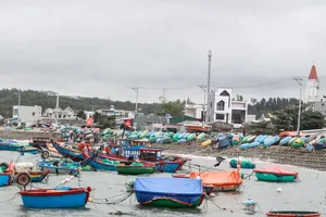 Quang Ngai Province urgently braces against tropical depression, storm Toraji