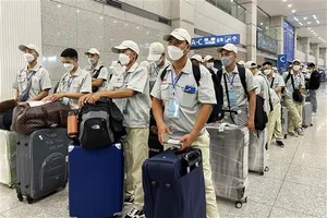 Vietnam sends over 130,640 workers overseas in 10 months