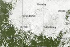 Typhoon Manyi forecast to enter East Sea on November 18